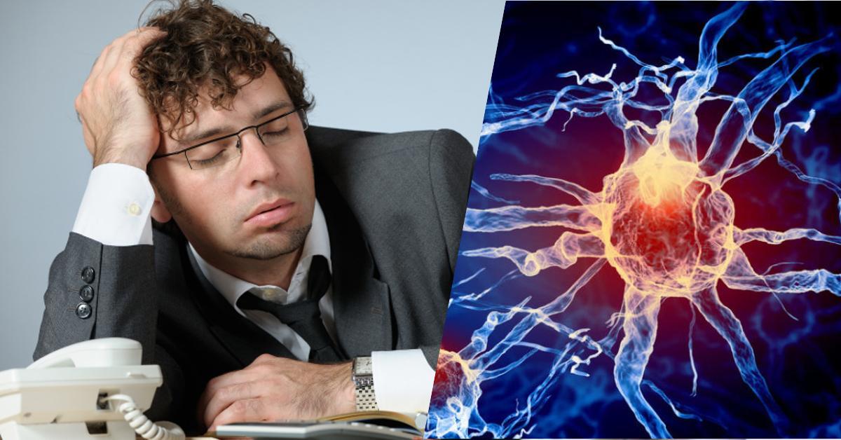 Voici comment le manque de sommeil endommage les neurones et les vaisseaux sanguins Voici comment le manque de sommeil endommage les neurones et les vaisseaux sanguins