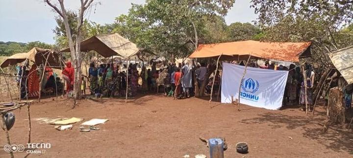Le HCR a démarré l’enregistrement d’environ 3000 soudanais Le HCR a démarré l’enregistrement d’environ 3000 soudanais