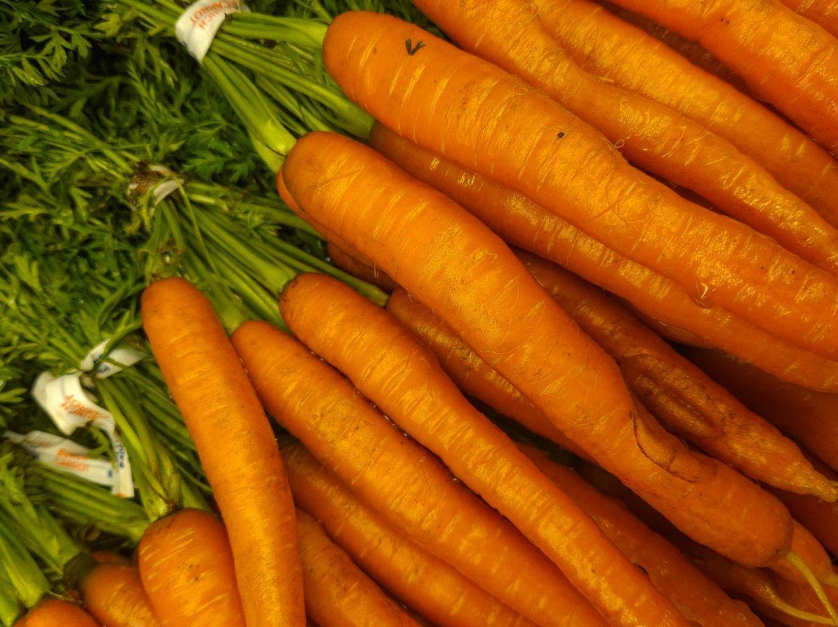 Pourquoi les carottes sont-elles orange ? Pourquoi les carottes sont-elles orange ?