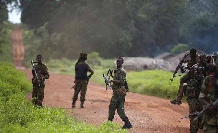 les huit élèves enlevés par des hommes armés dans le sud-est du pays sont relâchés les huit élèves enlevés par des hommes armés dans le sud-est du pays sont relâchés