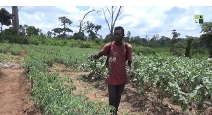 Le Groupement Zone Verte de Bimont : Des Jeunes Héroïques Luttent Contre le Chômage grâce à l’agriculture Le Groupement Zone Verte de Bimont : Des Jeunes Héroïques Luttent Contre le Chômage grâce à l’agriculture