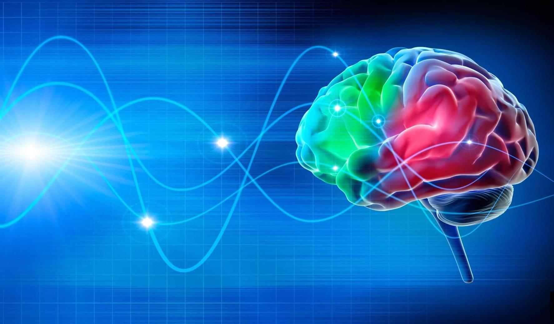 Les ondes de la 5G n'affectent pas le cerveau Les ondes de la 5G n'affectent pas le cerveau