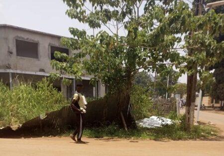 Bangui : Quand le bâtiment du Ministère de la Communication Devient une Jungle en Plein Centre-Ville Bangui : Quand le bâtiment du Ministère de la Communication Devient une Jungle en Plein Centre-Ville