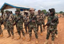 les actions du désarmement à Maloum et à Koui de plus en plus appréciées les actions du désarmement à Maloum et à Koui de plus en plus appréciées