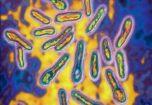 Mort par botulisme dans le Maine-et-Loire Mort par botulisme dans le Maine-et-Loire