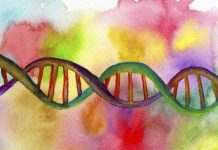 Syndrome de Fatigue Chronique et Génétique Syndrome de Fatigue Chronique et Génétique