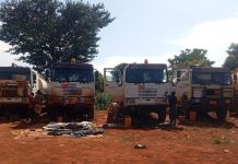 Casques Bleus Onusiens Décrédibilisés Après Incident Casques Bleus Onusiens Décrédibilisés Après Incident