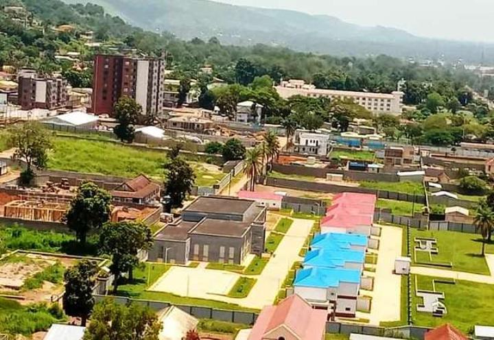 Diplomatie Agissante Attire Investisseurs en Centrafrique Diplomatie Agissante Attire Investisseurs en Centrafrique