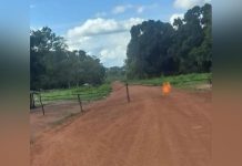 Retour des Barrières Routières dans la Mambéré Retour des Barrières Routières dans la Mambéré