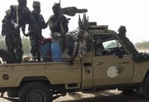 Ngarba: Arrestation d’Al Habo, Chef de Gang Tchadien Ngarba: Arrestation d'Al Habo, Chef de Gang Tchadien