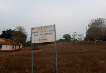 Braquage du Chauffeur entre Dékoa et Bouca Braquage du Chauffeur entre Dékoa et Bouca