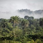 Accords de crédits carbones en Afrique évaporés Accords de crédits carbones en Afrique évaporés