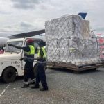 Le PNUD aide à l’organisation des élections en RCA Le PNUD aide à l'organisation des élections en RCA