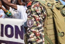 Meurtre d’un Interprète des Wagner Près de Zemio Meurtre d'un Interprète des Wagner Près de Zemio