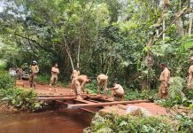 Restauration de Ponts Stratégiques à Bangassou Restauration de Ponts Stratégiques à Bangassou