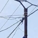 Électricité: Les 11 % de l’ICASEES et la réalité provinciale Électricité: Les 11 % de l'ICASEES et la réalité provinciale