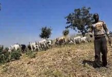 Tchad: Amnesty Critique l’Échec des Autorités Tchad: Amnesty Critique l'Échec des Autorités