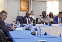 MINUSCA Réaffirme Engagement Électoral Malgré Contraintes MINUSCA Réaffirme Engagement Électoral Malgré Contraintes