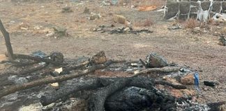 Attaque Sanglante Des Mercenaires Russes Dans L’Ouham Attaque Sanglante Des Mercenaires Russes Dans L’Ouham