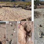 Un Site Bolivien Avec 16 000 Traces De Dinosaures Un Site Bolivien Avec 16 000 Traces De Dinosaures