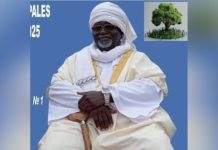 Accueil triomphal du sultan-maire Ahamat Moustapha Am-Gabo Accueil triomphal du sultan-maire Ahamat Moustapha Am-Gabo