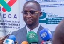 État Abandonne PME Centrafricaines au Profit Étrangers État Abandonne PME Centrafricaines au Profit Étrangers