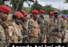 Attaque Nocturne à Kouki: Ex-Combattant Abattu Attaque Nocturne à Kouki: Ex-Combattant Abattu