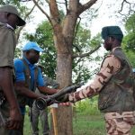 RCA : plus de 1.000 ex-combattants désarmés et démobilisés entre juillet et décembre 2025 RCA : plus de 1.000 ex-combattants désarmés et démobilisés entre juillet et décembre 2025