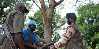 RCA : plus de 1.000 ex-combattants désarmés et démobilisés entre juillet et décembre 2025 RCA : plus de 1.000 ex-combattants désarmés et démobilisés entre juillet et décembre 2025