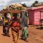 Festival De Tabassage Des Agriculteurs À Obo Festival De Tabassage Des Agriculteurs À Obo