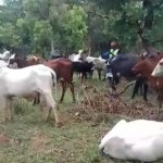 Flambée de Violence Meurtrière à Nana-Bakassa Flambée de Violence Meurtrière à Nana-Bakassa