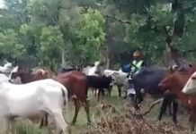 Flambée de Violence Meurtrière à Nana-Bakassa Flambée de Violence Meurtrière à Nana-Bakassa