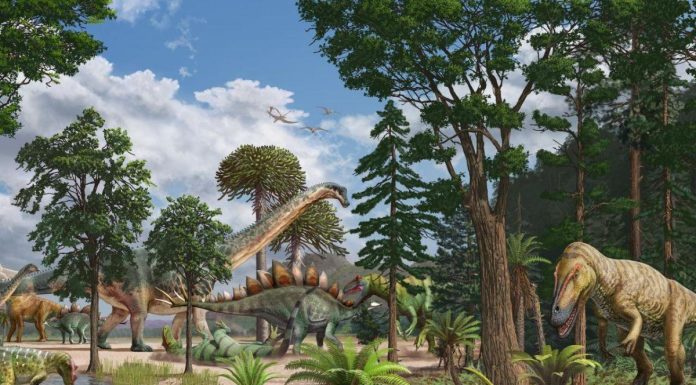 Bébés Sauropodes Comme Proies Au Jurassique Bébés Sauropodes Comme Proies Au Jurassique