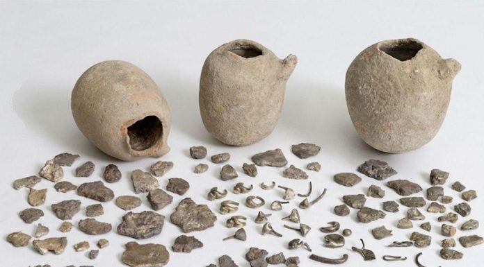 Sources de richesse des Phéniciens Sources de richesse des Phéniciens