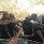 Wagner Imposent Une Contribution Obligatoire Aux Éleveurs Wagner Imposent Une Contribution Obligatoire Aux Éleveurs