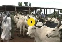 Kogrengbo Interpelle Ministre Sur Prix Viande Bangui Kogrengbo Interpelle Ministre Sur Prix Viande Bangui