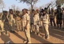 Rebelles Soudanais FSR Fuirent Bombardements Rebelles Soudanais FSR Fuirent Bombardements