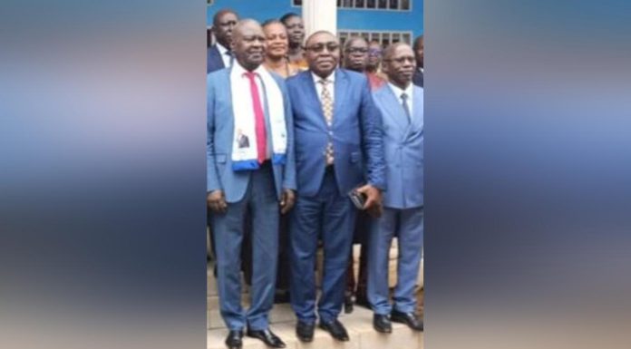 Analyse de Laurent Gomina Pampali sur le Parlement Monocolore Analyse de Laurent Gomina Pampali sur le Parlement Monocolore