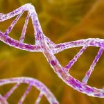 Robots à ADN Ciblant les Cellules Cancéreuses Robots à ADN Ciblant les Cellules Cancéreuses