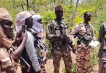 Sécurité Transfrontalière Tchad RCA Démantèle Réseau Voleurs Sécurité Transfrontalière Tchad RCA Démantèle Réseau Voleurs