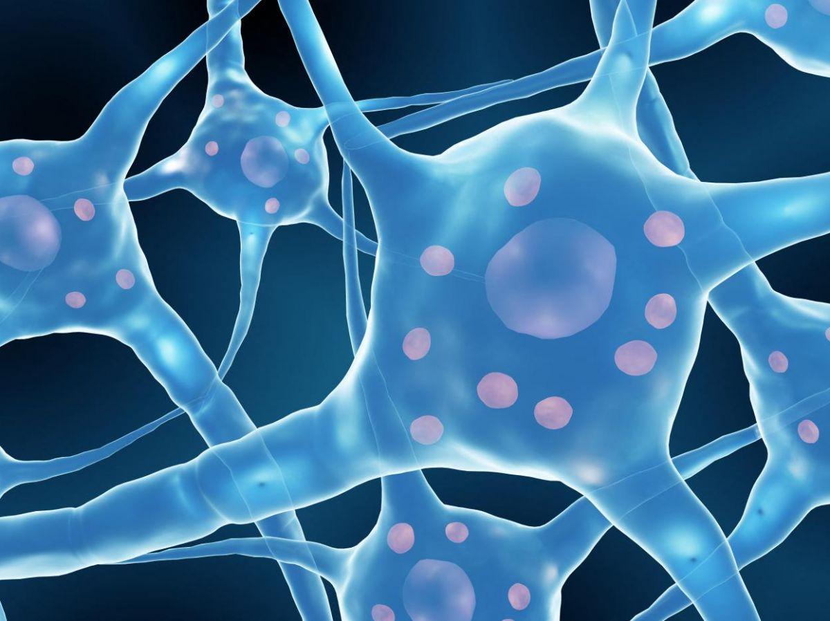 Le Covid-19 pourrait accélérer le développement de la maladie de Parkinson