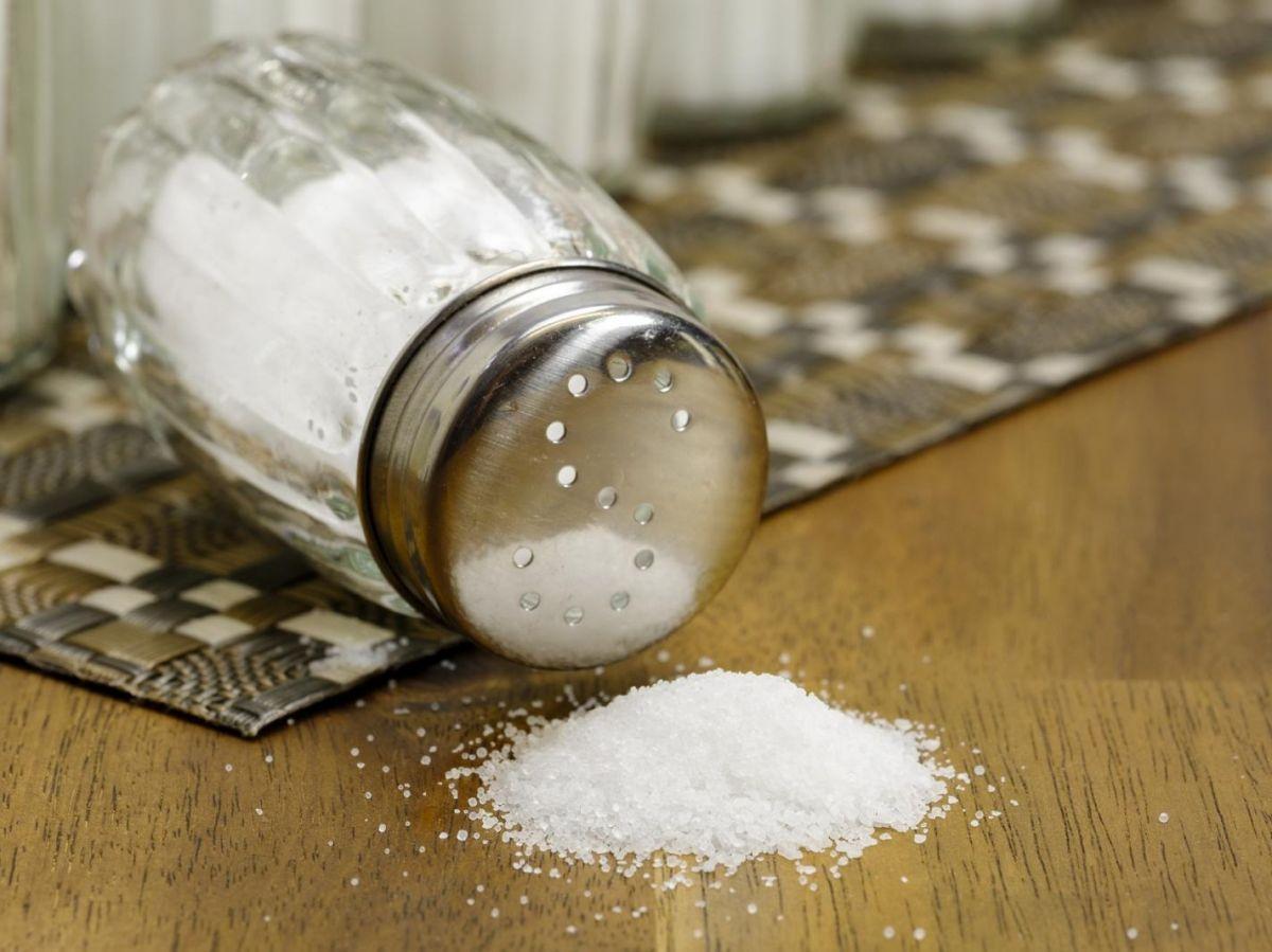 Si nous manquons de sel, notre organisme libère une hormone pour que nous en recherchions !