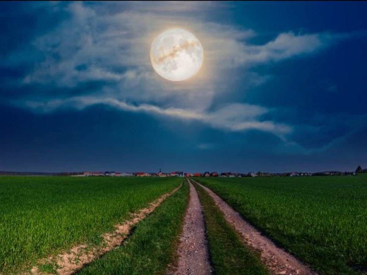 La Lune influence-t-elle la pousse des végétaux sur Terre ? La Lune influence-t-elle la pousse des végétaux sur Terre ?