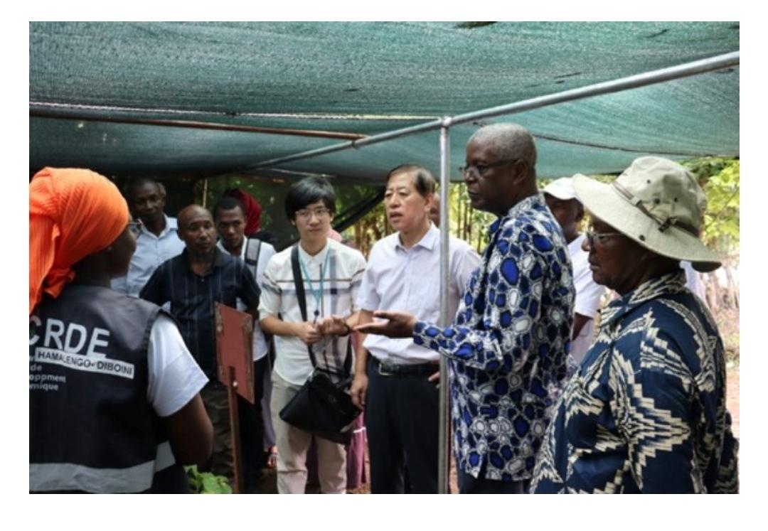 Visite de l’ambassadeur chinois au Centre rural de développement économique pour renforcer l’agriculture comorienne Visite de l’ambassadeur chinois au Centre rural de développement économique pour renforcer l’agriculture comorienne