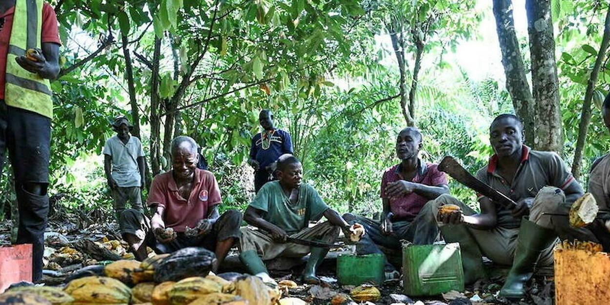 Ghana : haro sur les géants du chocolat Ghana : haro sur les géants du chocolat