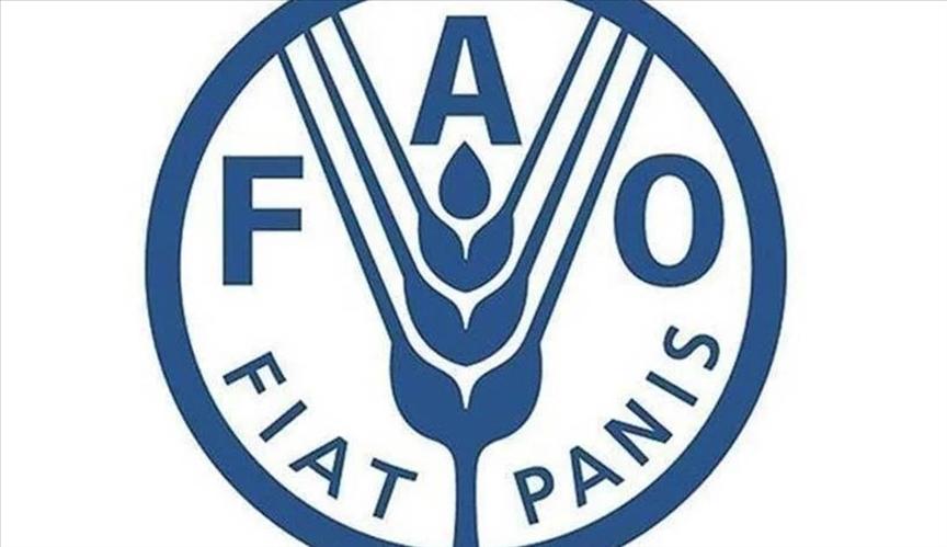 La FAO lance un appel urgent en faveur de l’Afrique australe