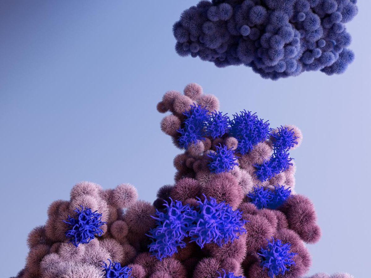 Covid-19 : que sait-on du variant Eris, qui fait repartir l’épidémie en France ? Covid-19 : que sait-on du variant Eris, qui fait repartir l’épidémie en France ?