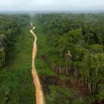 Baisse Record des Émissions de Gaz au Brésil Baisse Record des Émissions de Gaz au Brésil