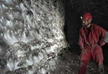 Colocation Géante de 110 000 Araignées en Albanie Colocation Géante de 110 000 Araignées en Albanie