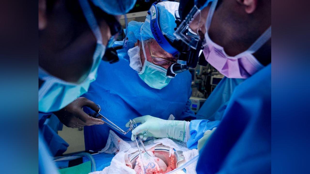 Greffe de Porc chez L'Homme: Défis de la Xénotransplantation Greffe de Porc chez L'Homme: Défis de la Xénotransplantation